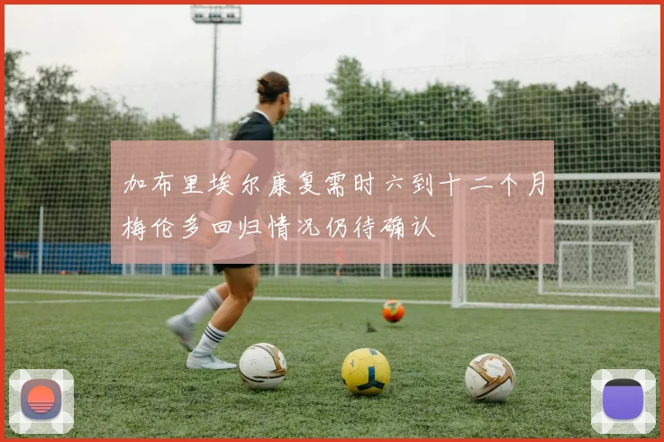 加布里埃尔康复需时六到十二个月梅伦多回归情况仍待确认